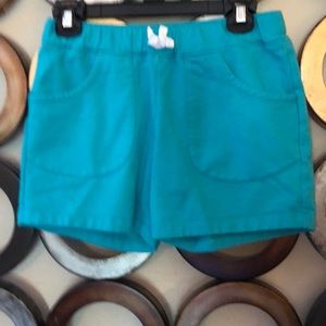 Garnet Hill Shorts
